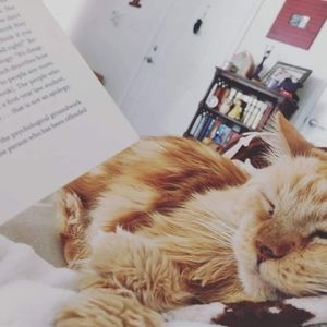 Ready to clean out my closet! Make an offer!